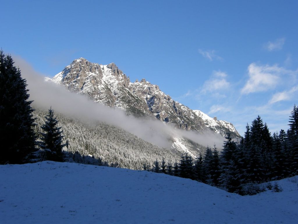 Natur bewusst erleben. Berghof am Schwand, Schneewandern