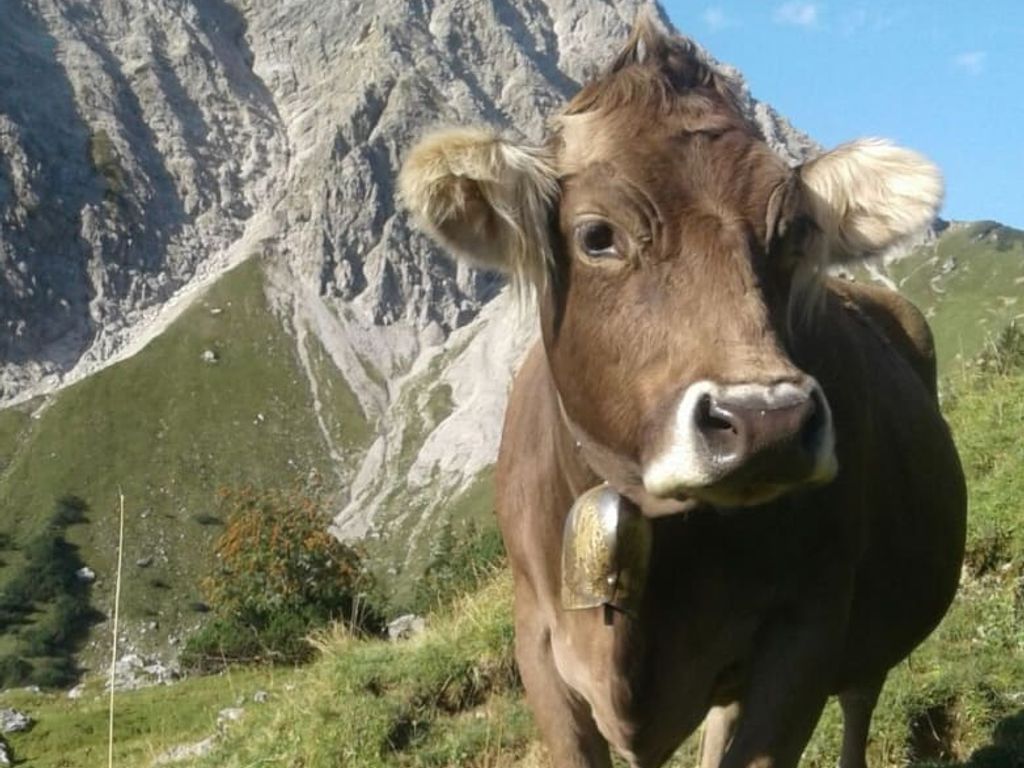 Sommerfrische