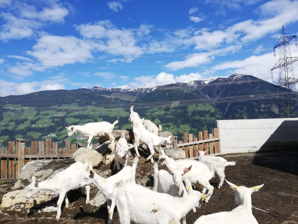 Stockachhof