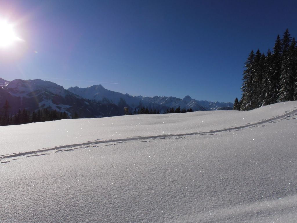 Panorma Blick Zillertal Tirol