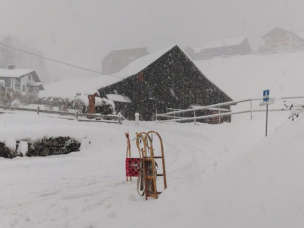 Zwei Schlitten stehen im Schnee auf dem Gelände des Bauernhofs.