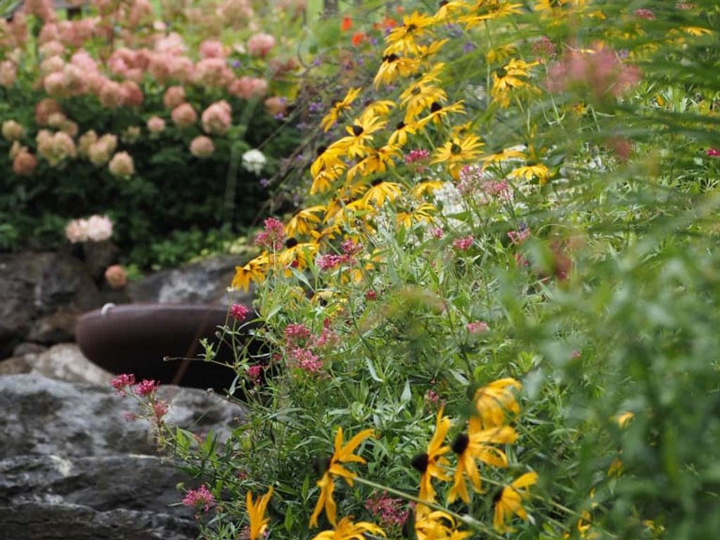 Der Garten des Bauernhofs mit verschiedenen blühenden Pflanzen, einem Natursteinelement und einem Wasserauslauf.