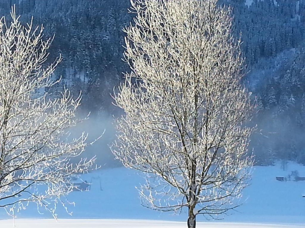 Winter in den Bergen