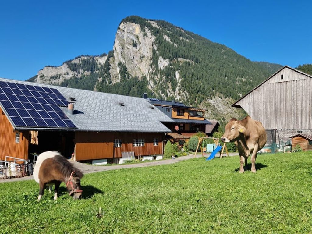 Ferienbauernhof Berlinger umgeben von Wiesen mit Pony und Kuh, einem Kinderspielplatz und Bergblick.