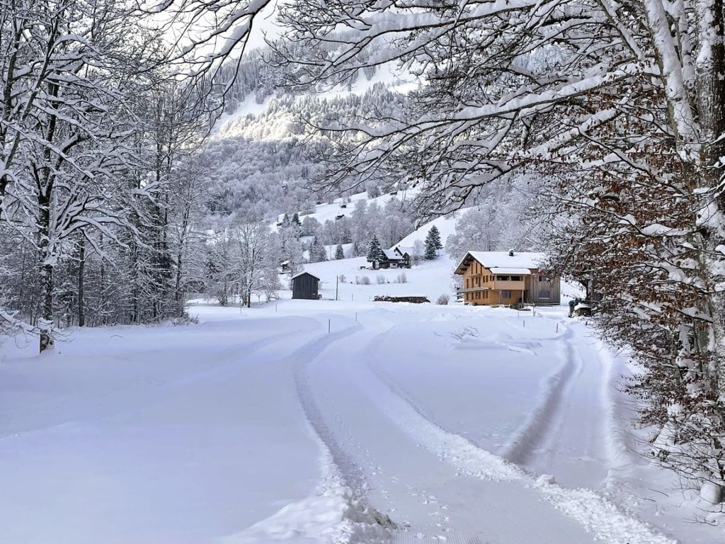 Winterlandschaft mit verschneiten Bäumen, Bergen im Hintergrund und der Ferienhof, erreichbar über einen geräumten Weg.