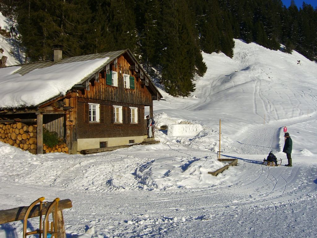 Panoramahütte Sonderdach – die Almhütte im Bregenzerwald