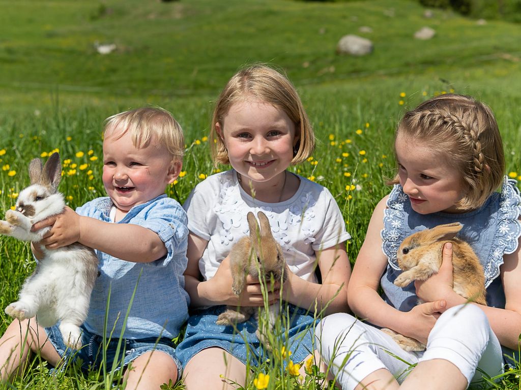 Drei Kinder halten Hasen auf einer sonnigen Wiese mit Blumen auf dem Bauernhof.