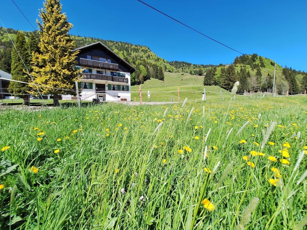 Der einladende Bauernhof umgeben von einer saftig grünen Blumenwiese vor einer idyllischen Bergkulisse.