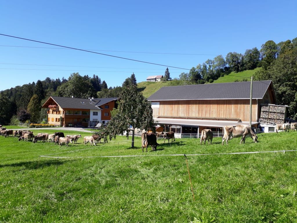 Familie Nußbaumer