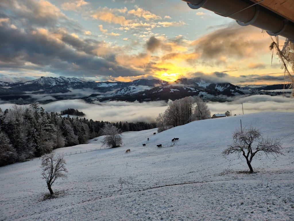 Blickfang Bregenzerwald