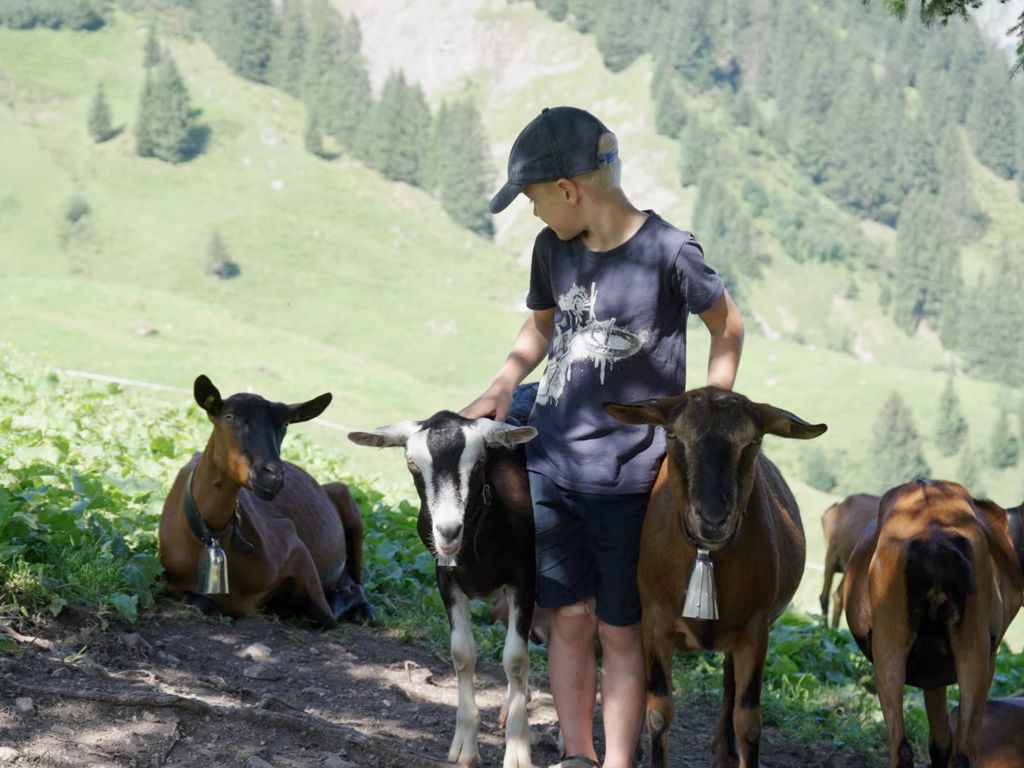 Kinderbauernhof Felder