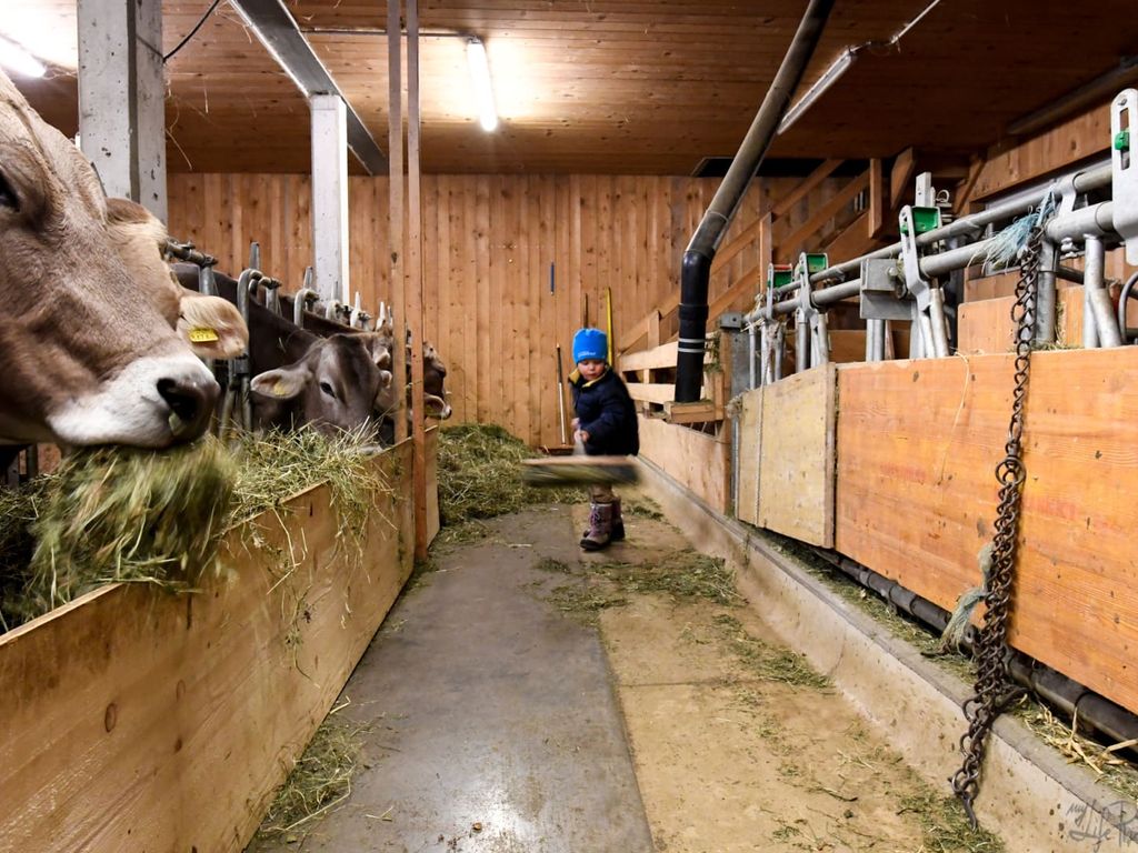 Kinderbauernhof Felder