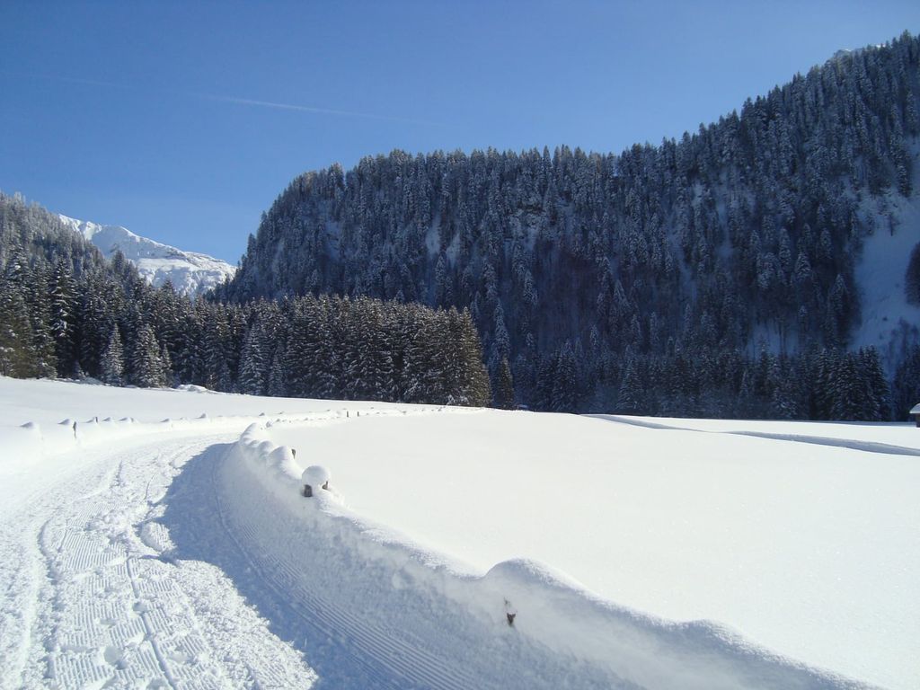 Winterwandern in Au-Schoppernau