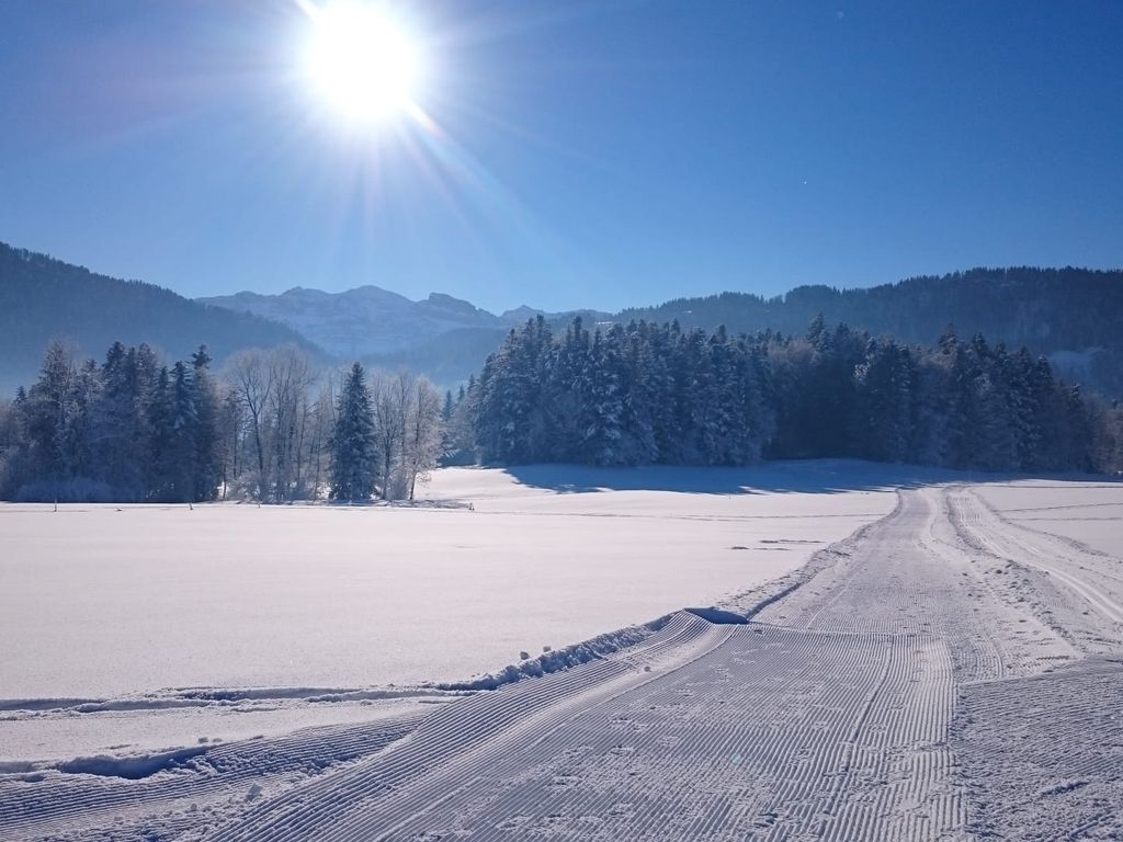 Schweizer Hof