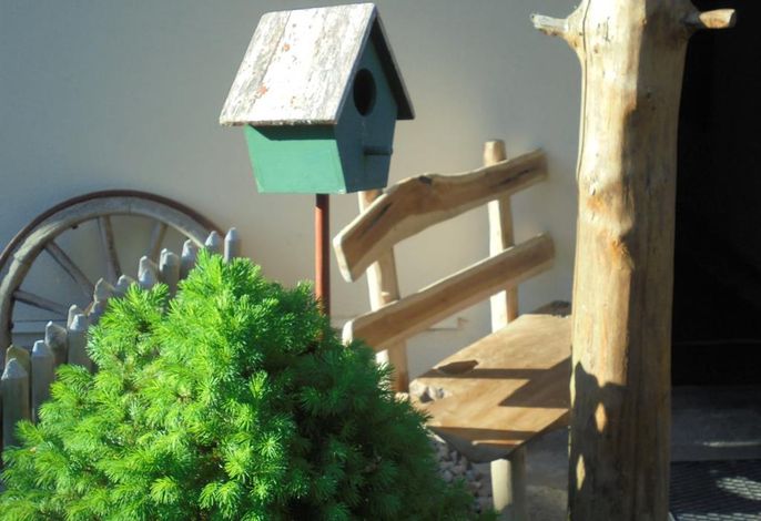 Bild 8