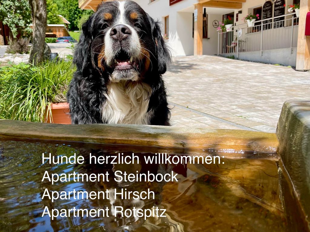 Chalet Hirschbach