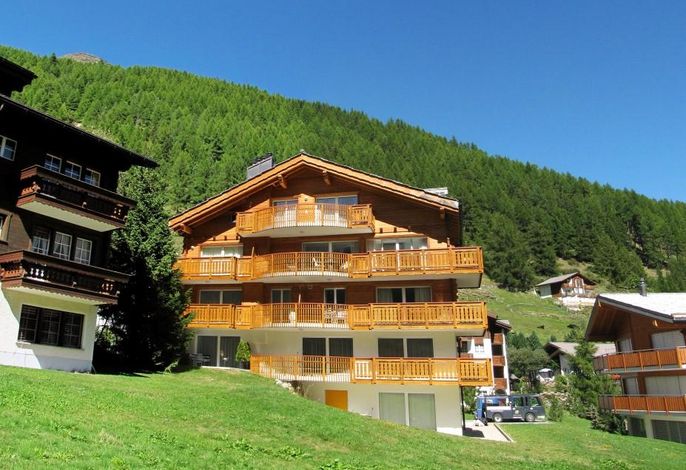 Bild 7
