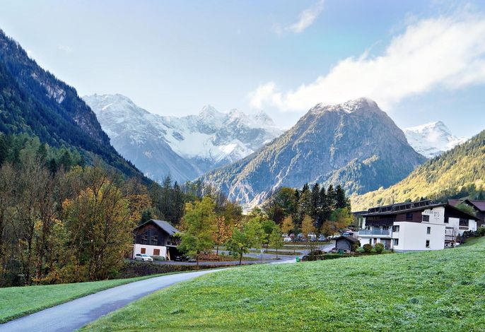Bild 11