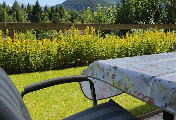 Bild 12
