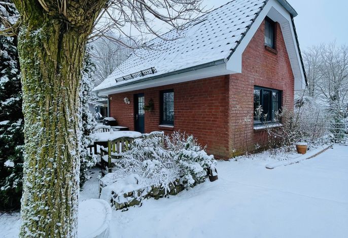 Bild 15