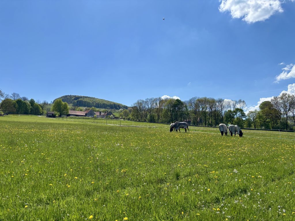 Weiherhof