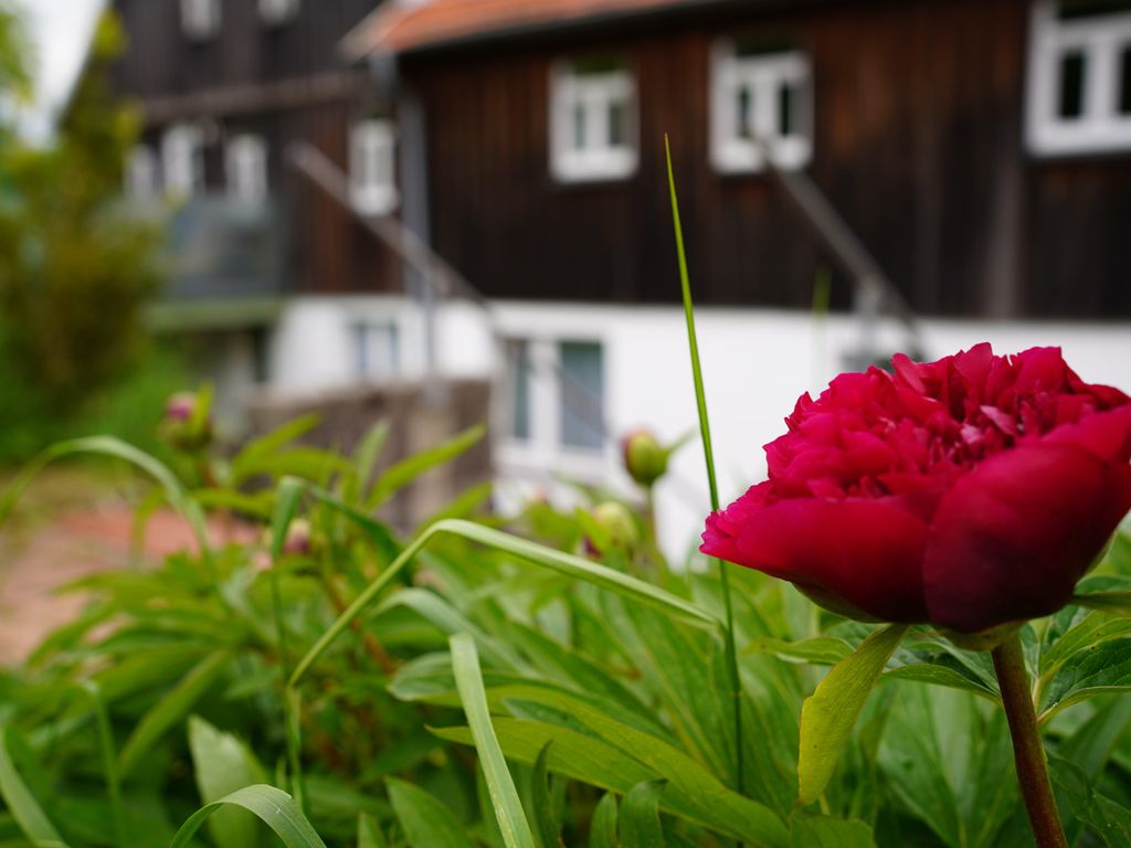 Weiherhof