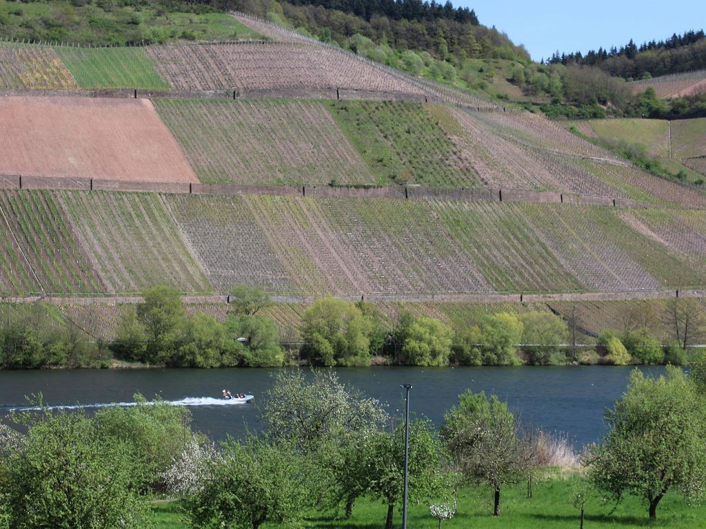 Ferienweingut Hansjosten