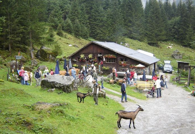 Bild 94