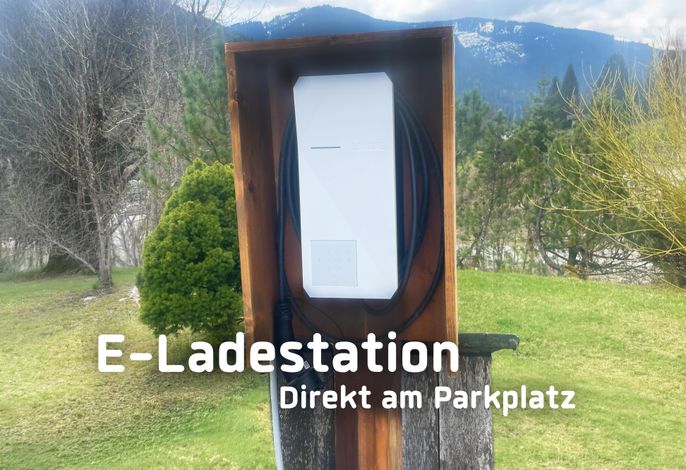 Bild 7
