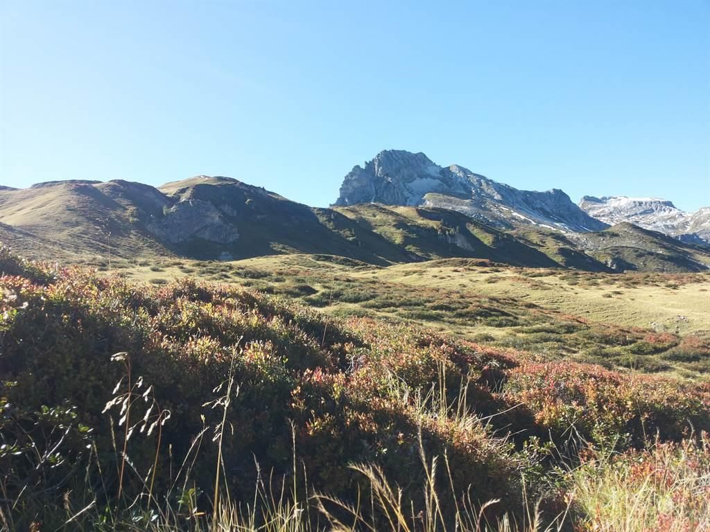 Brandstättergut