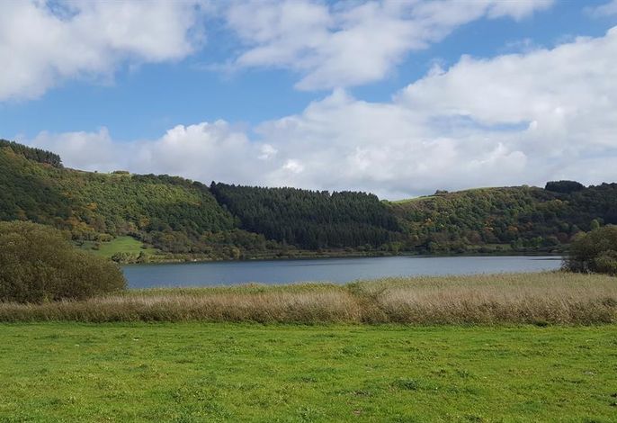 Bild 25