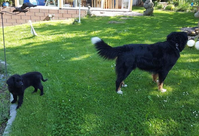 Bild 11