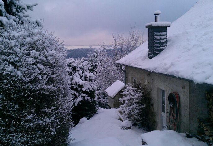 Bild 38