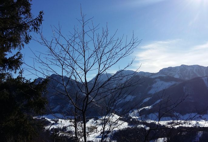 Bild 7