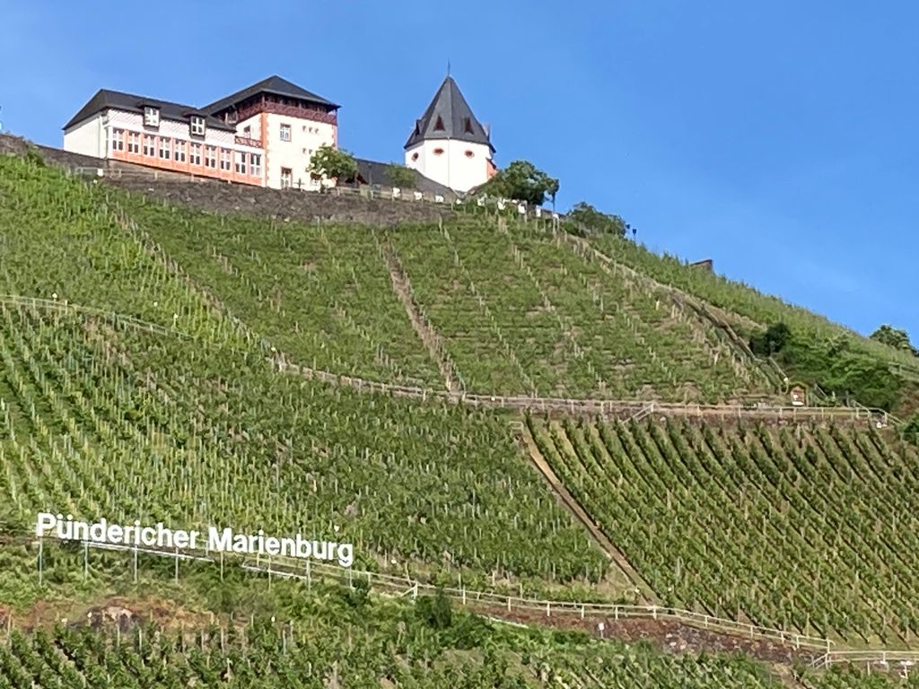Burgblick Pünderich