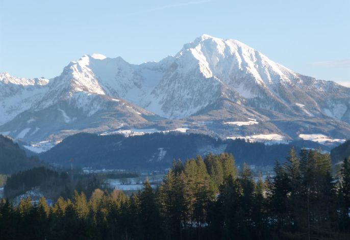Bild 11