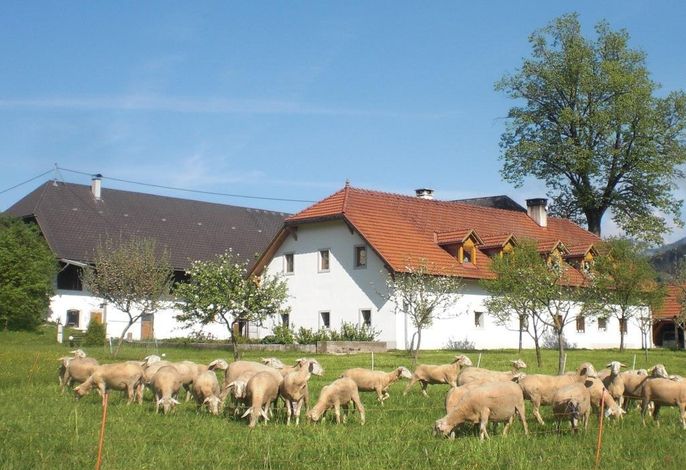 Bild 23