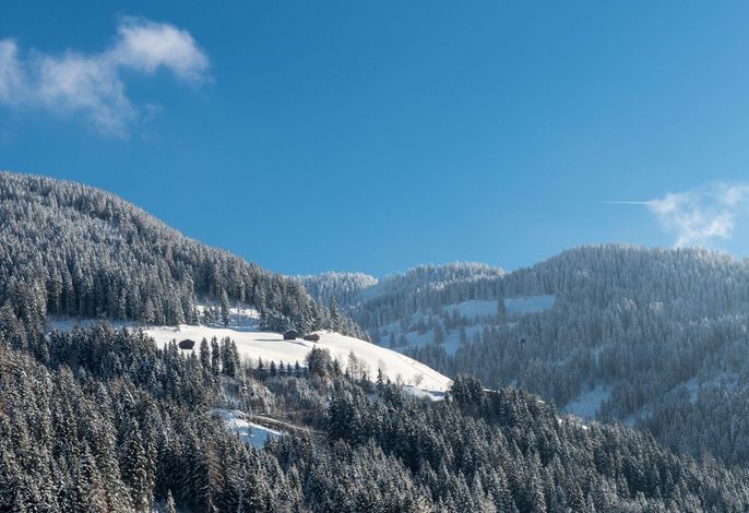 Bild 13