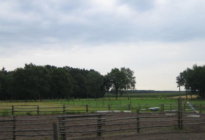 Bild 17