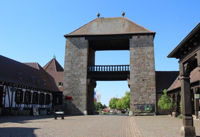 Bild 7