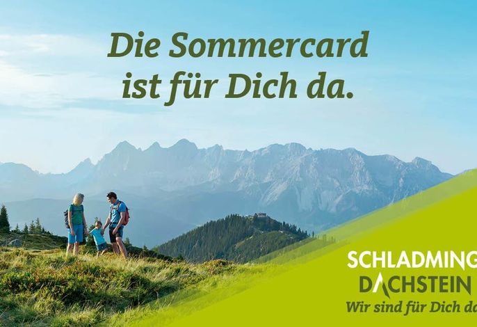 Bild 33