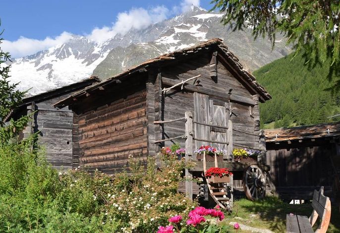 Bild 14