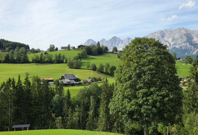 Bild 24