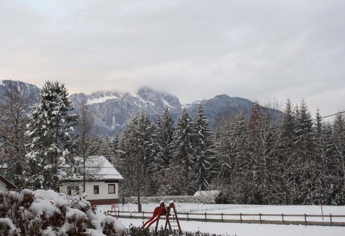 Bild 15