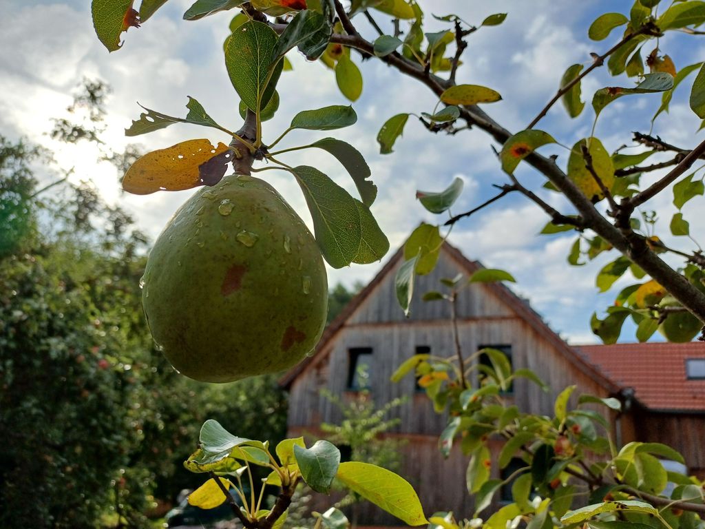 Dein Kraftort – Naturferienhaus
