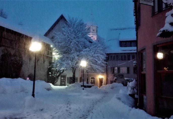Bild 12