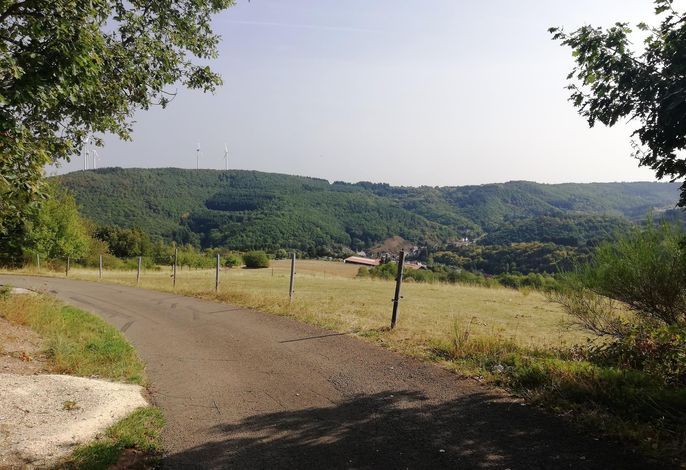 Bild 18