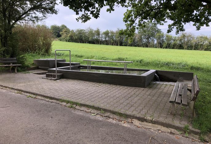 Bild 12