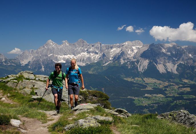 Bild 22