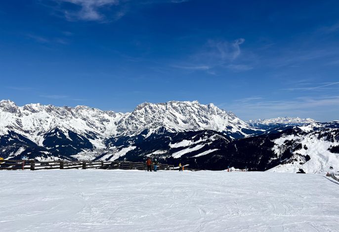 Bild 14